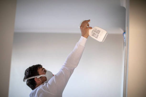 Attic Mold Removal in Beech Grove, IN