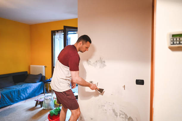 Best Mold Cleaning Services  in Beech Grove, IN